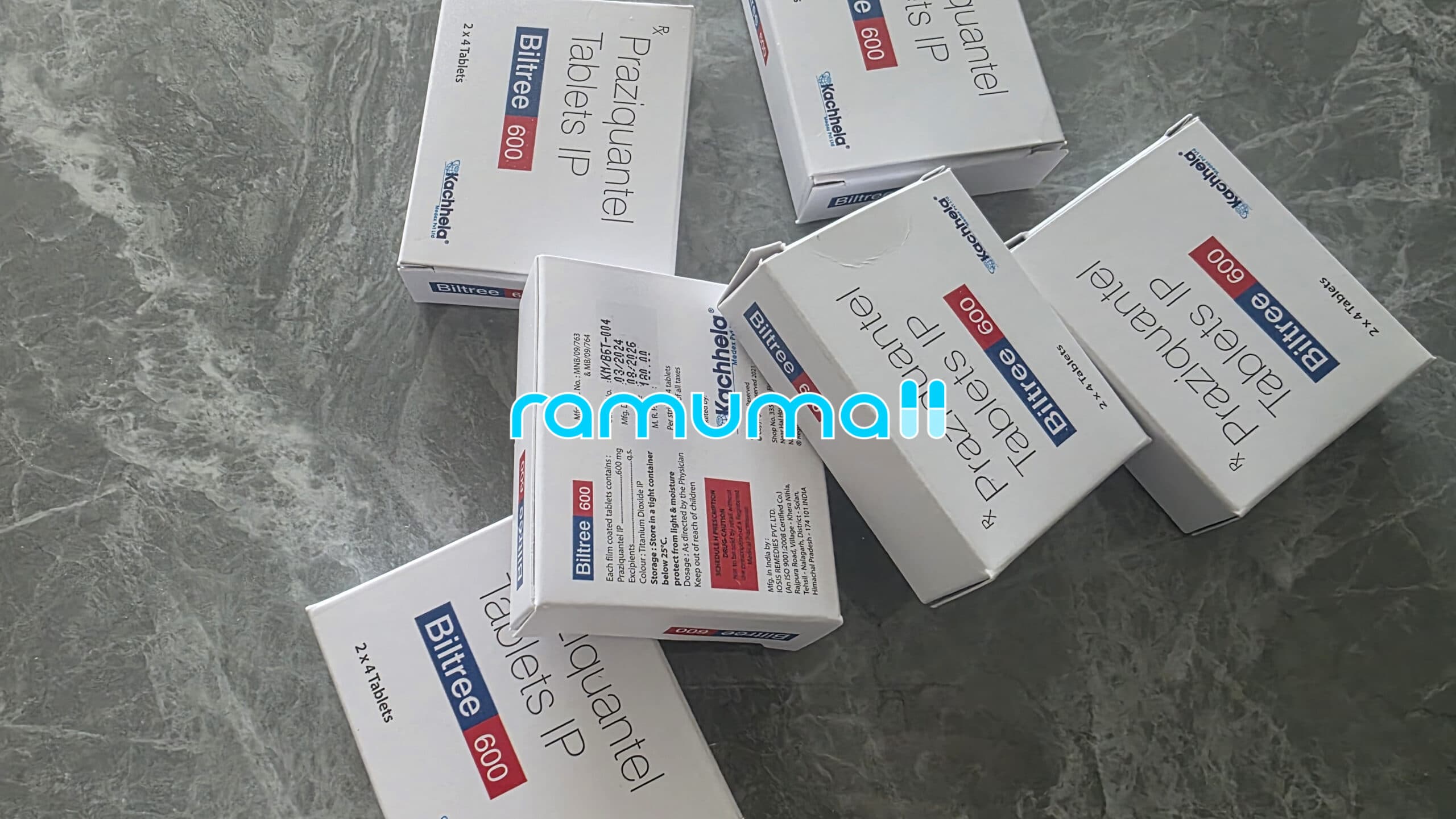 (프라지콴텔 디스토시드) 빌트리 600mg 직구 후기