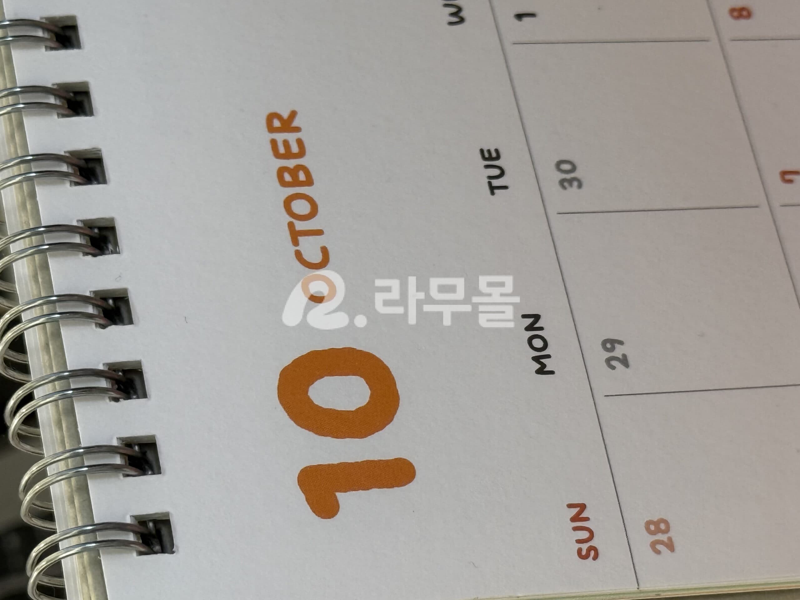 아보다트 두타놀 500정 직구 후기
