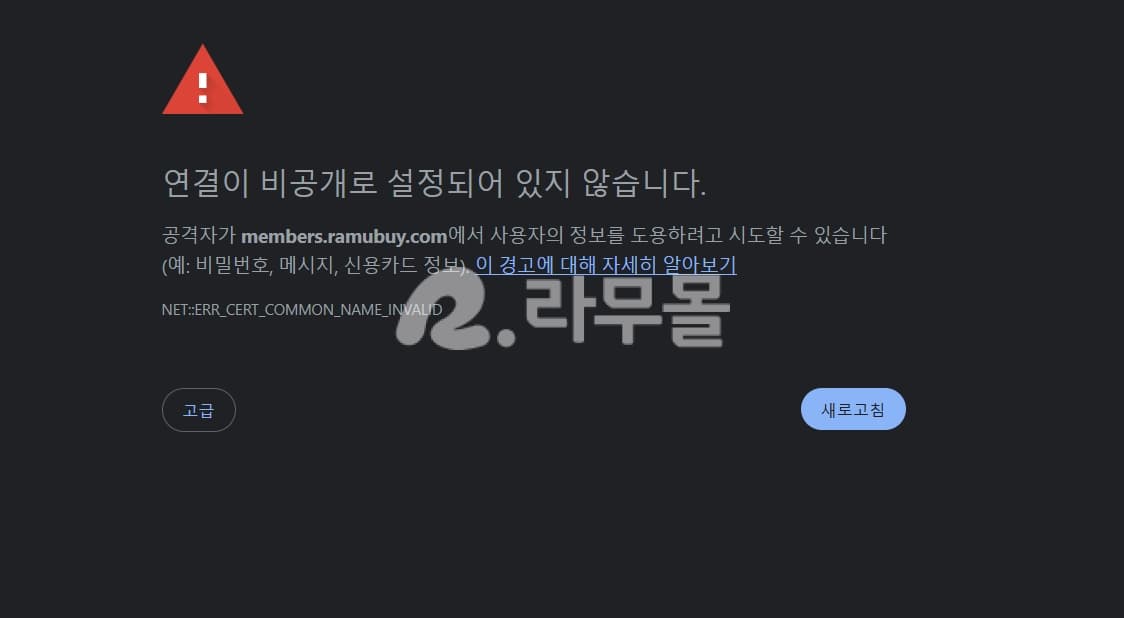 비달리스타 2.5mg 직구 후기